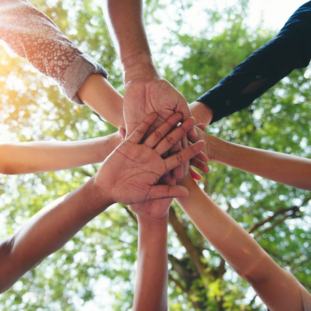 Team-Retreat und Gesundheitstag zur Stärkung von Ruhe, Teamkultur und Verbindung mit Katrin Dryhaus